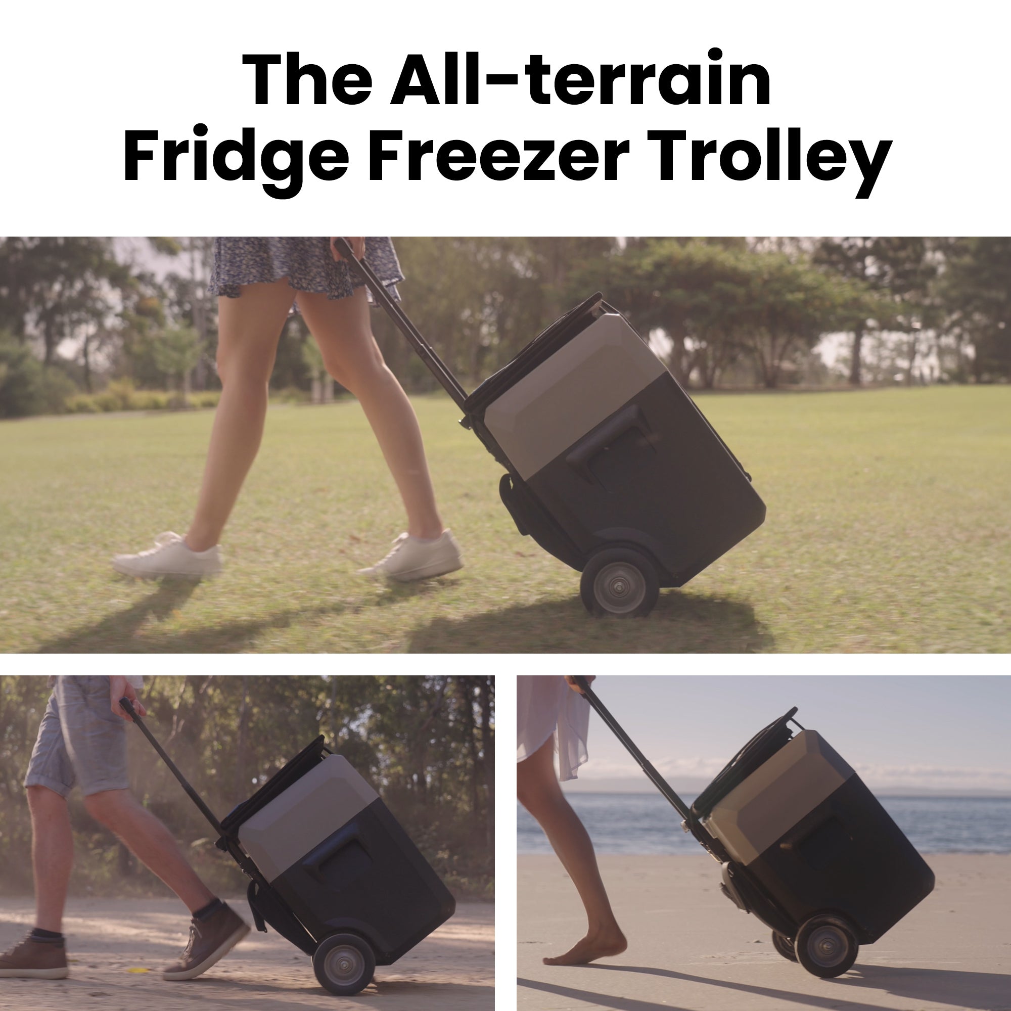 Congelador portátil especialmente diseñado para Tesla Model Y